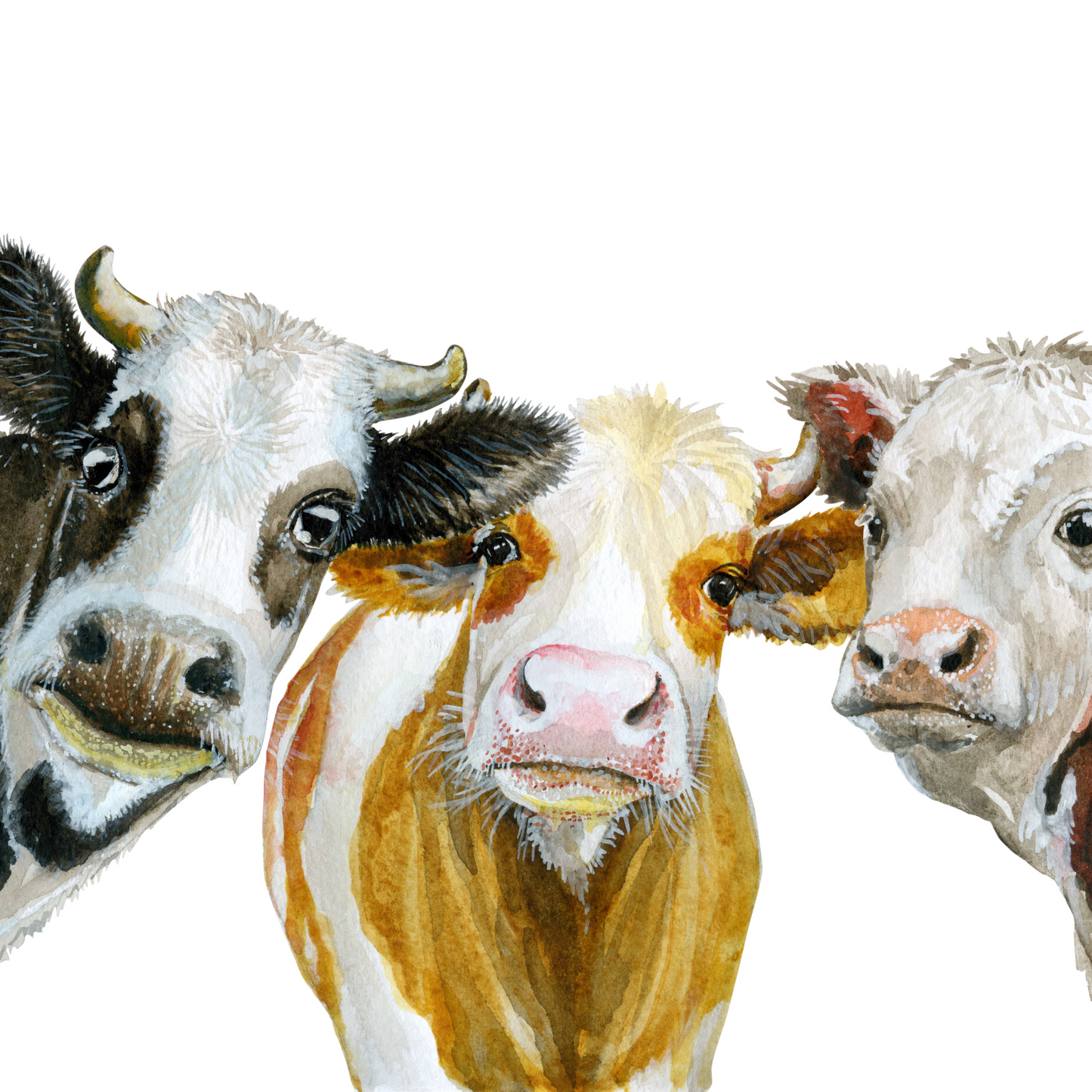 Three Wise Cows - A1 size large Decoupage Paper