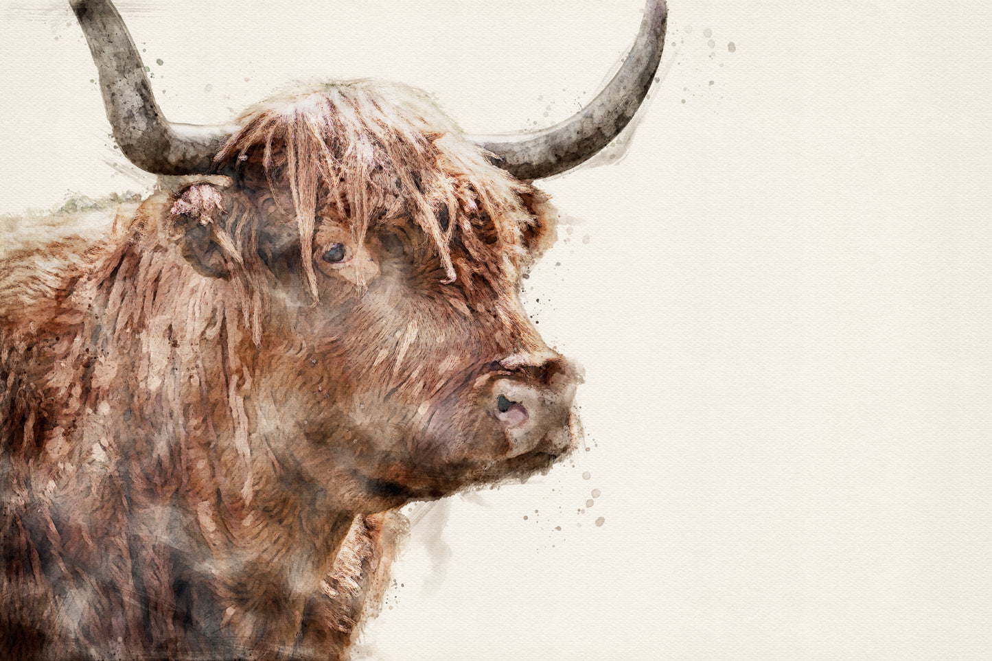 Highland Cow - A1 size large Decoupage Paper