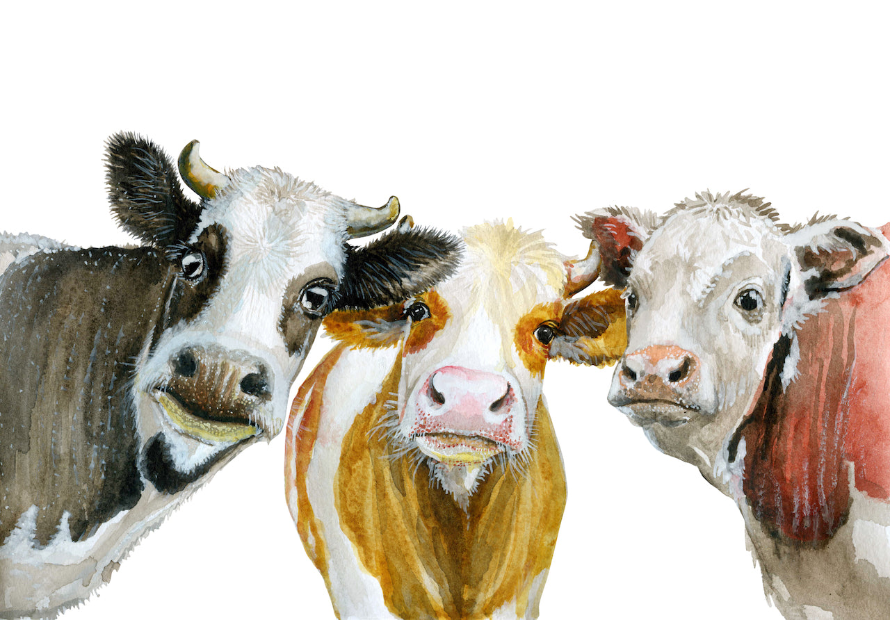 Three Wise Cows - A1 size large Decoupage Paper